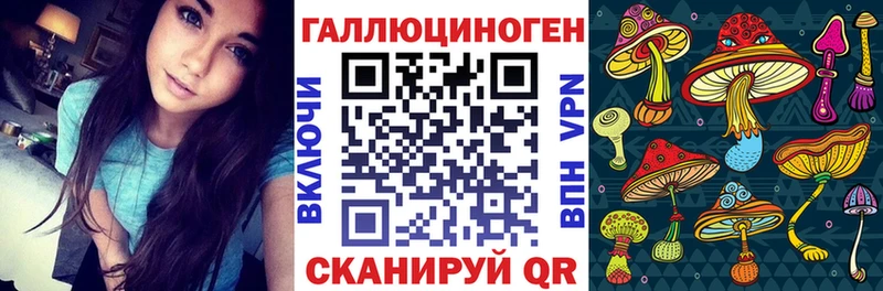 мега зеркало  Мытищи  Галлюциногенные грибы мицелий 