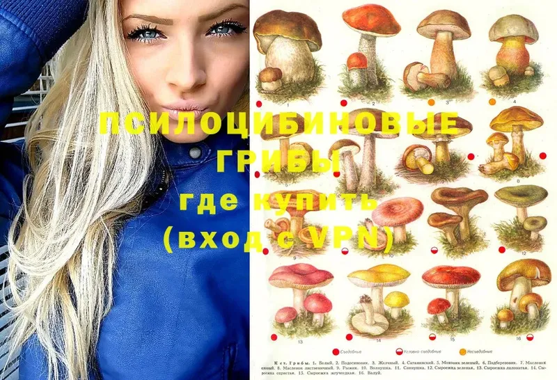 Галлюциногенные грибы MAGIC MUSHROOMS  Мытищи 