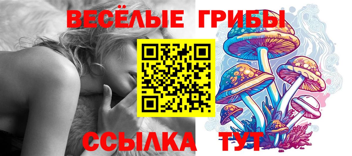 Галлюциногенные грибы Psilocybe  Вход с VPN  Галлюциногенные грибы Magic Shrooms  Мытищи 