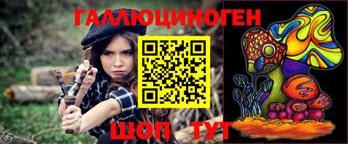 Псилоцибиновые грибы Psilocybe Мытищи